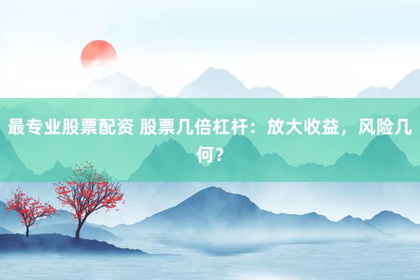 最专业股票配资 股票几倍杠杆：放大收益，风险几何？