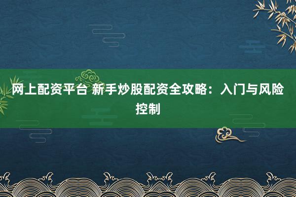 网上配资平台 新手炒股配资全攻略：入门与风险控制