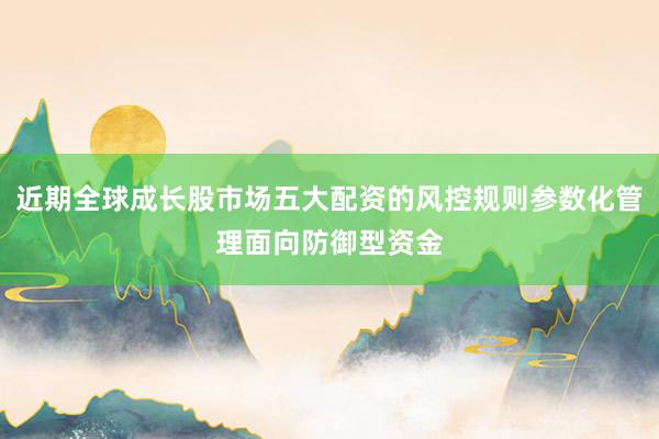 近期全球成长股市场五大配资的风控规则参数化管理面向防御型资金