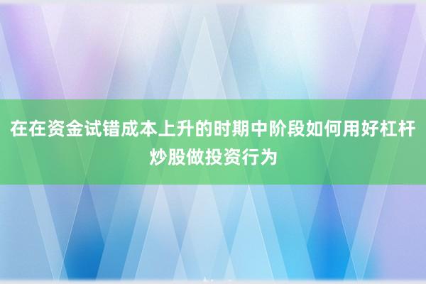 在在资金试错成本上升的时期中阶段如何用好杠杆炒股做投资行为