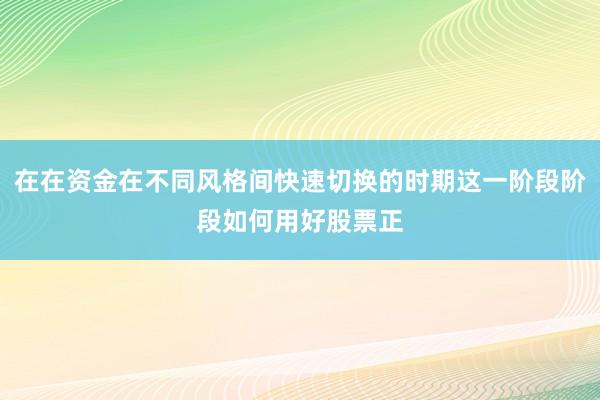 在在资金在不同风格间快速切换的时期这一阶段阶段如何用好股票正