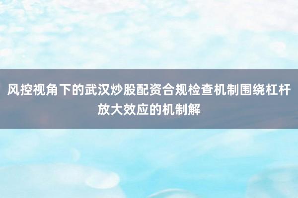 风控视角下的武汉炒股配资合规检查机制围绕杠杆放大效应的机制解