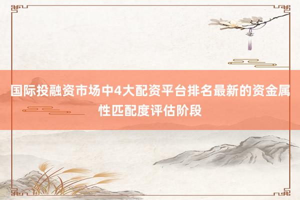 国际投融资市场中4大配资平台排名最新的资金属性匹配度评估阶段