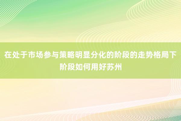 在处于市场参与策略明显分化的阶段的走势格局下阶段如何用好苏州