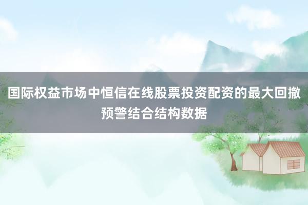 国际权益市场中恒信在线股票投资配资的最大回撤预警结合结构数据