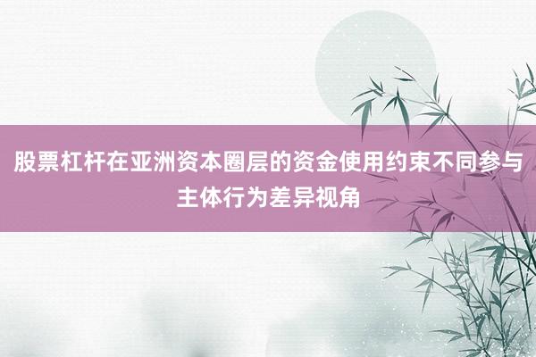 股票杠杆在亚洲资本圈层的资金使用约束不同参与主体行为差异视角