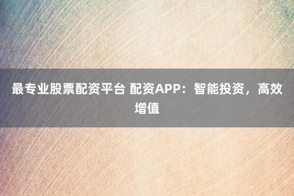 最专业股票配资平台 配资APP：智能投资，高效增值
