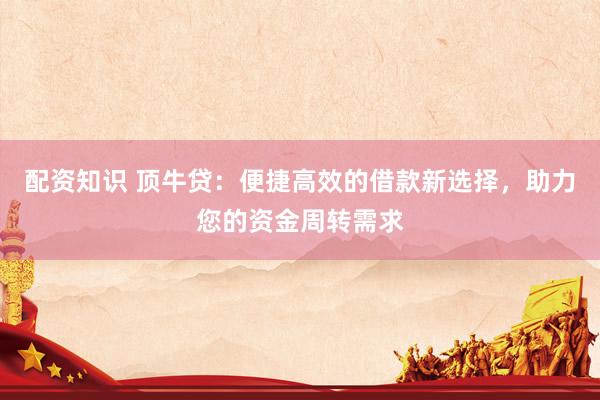 配资知识 顶牛贷：便捷高效的借款新选择，助力您的资金周转需求