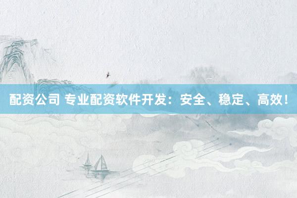 配资公司 专业配资软件开发：安全、稳定、高效！