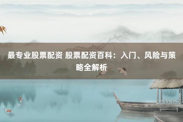 最专业股票配资 股票配资百科：入门、风险与策略全解析